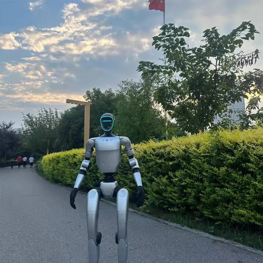 Selbstversuch: Ein Jahr Alltag mit einem KI-Roboter in Wien