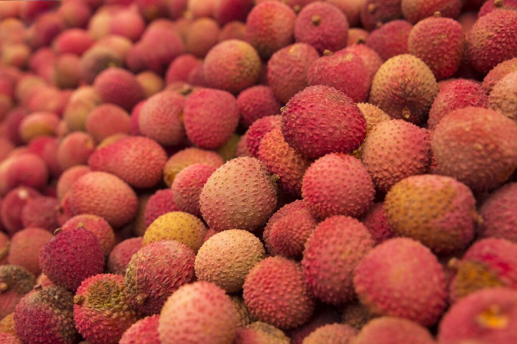 Chinesische Forscher züchten Frucht-Hybrid aus Litschi und Longan